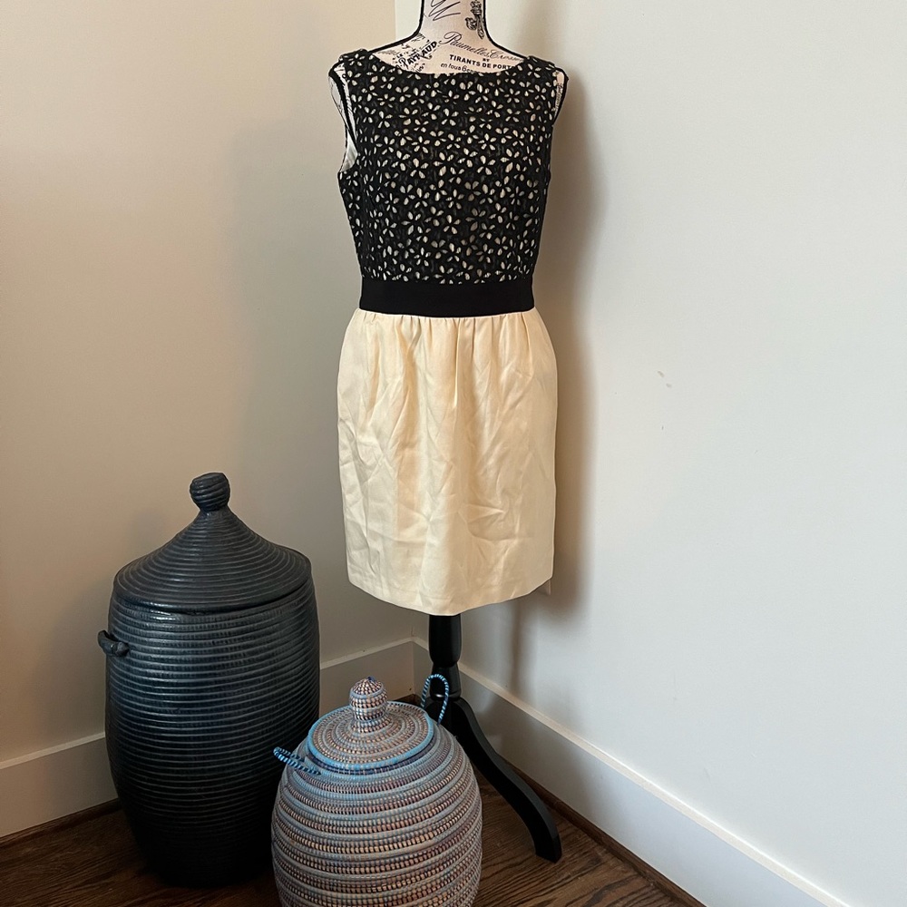 Milly Dress with Lace Overlay
